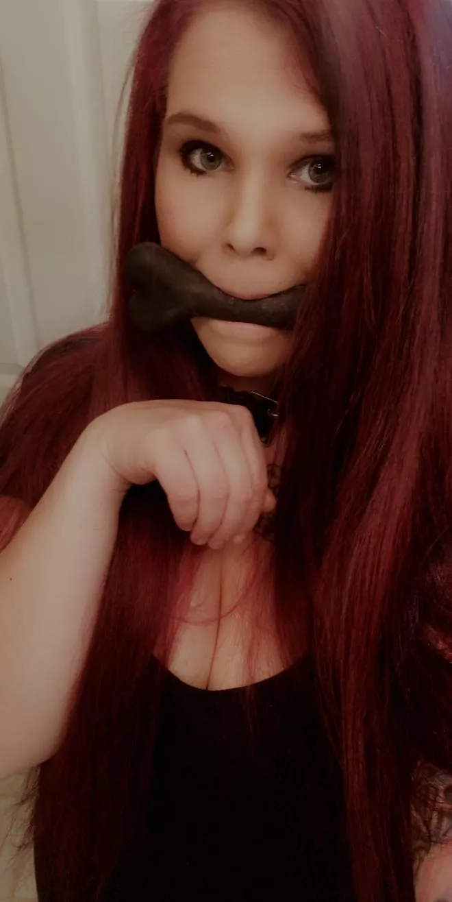 This puppy loves her bones 🦴 posted by spookygothbae