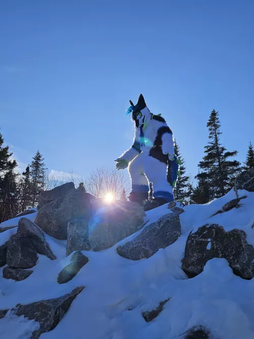 What brings you into my Woods? by xXSpartan92Xx