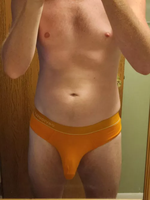 What do guys or gals think of my briefs? by npthrowaway2323