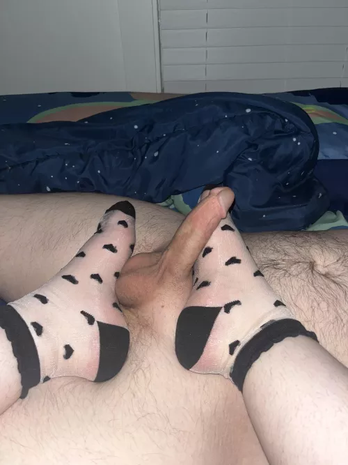 Wife’s new socks by NJCoupl