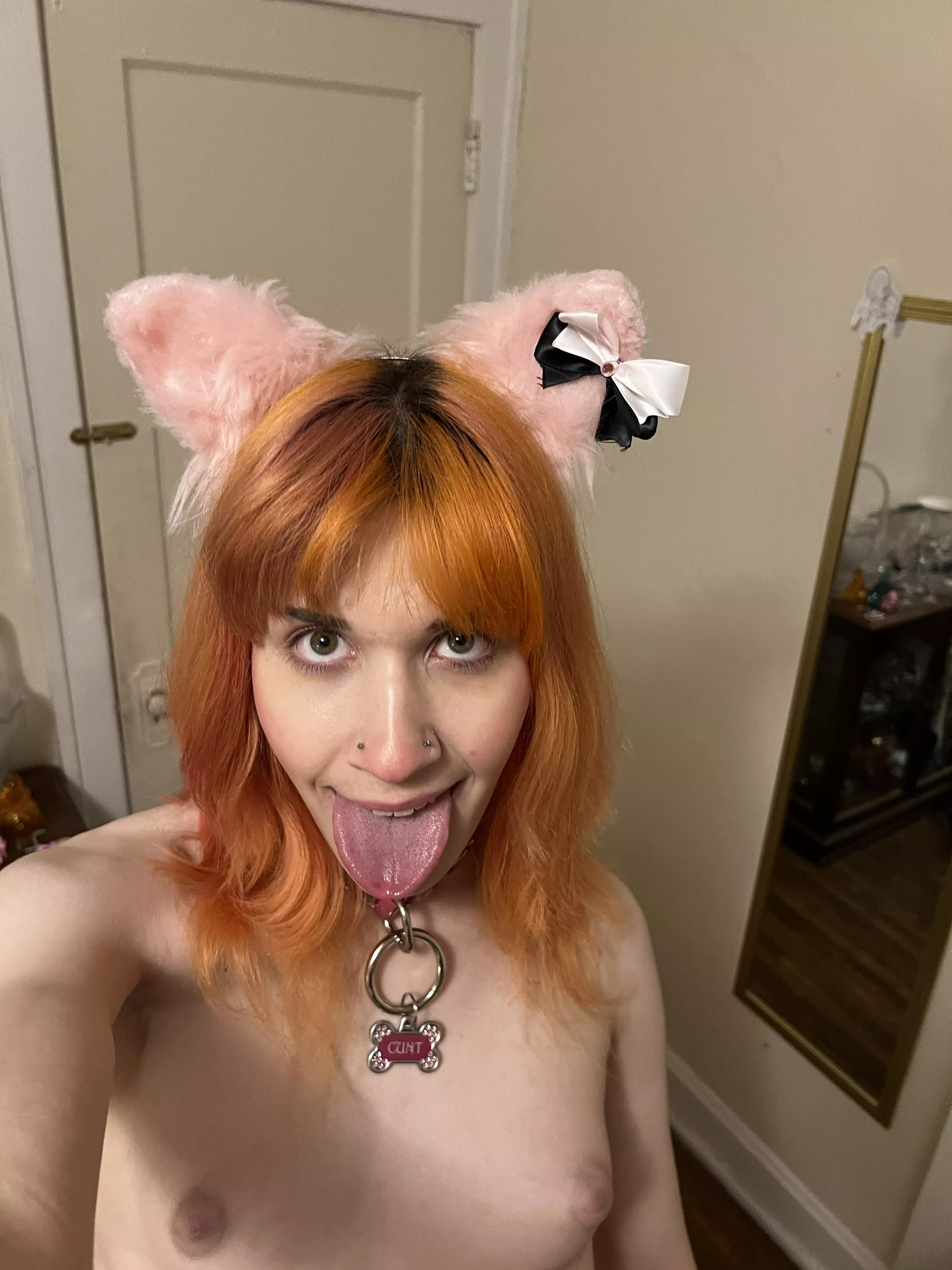 y'all rocking with trans puppy girls? 🐶💖 posted by transspuppy