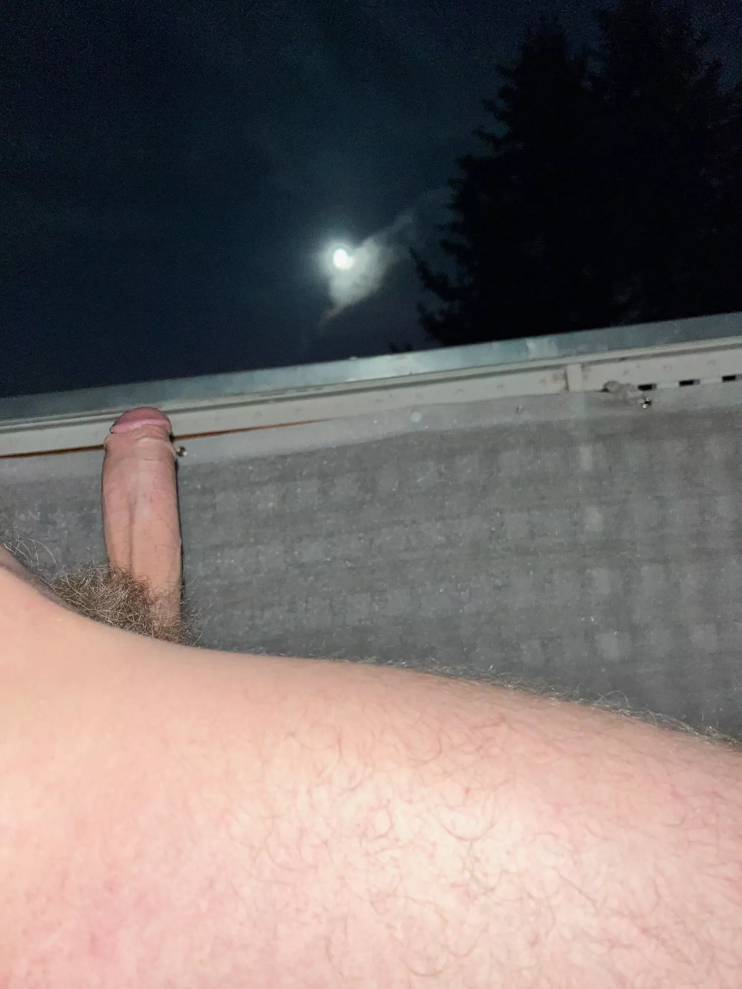 [35] Fullmoon Boner🍆🤤 posted by AaaronSummers
