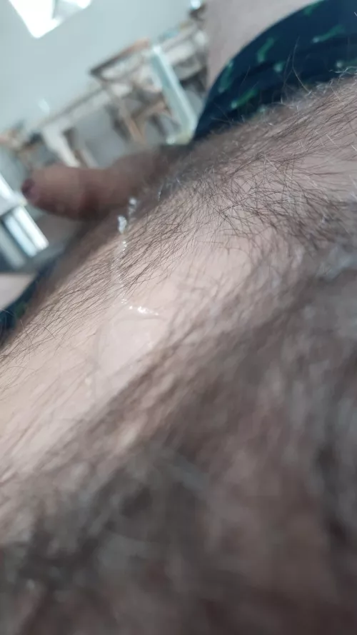 (39) In the morning by Holla454