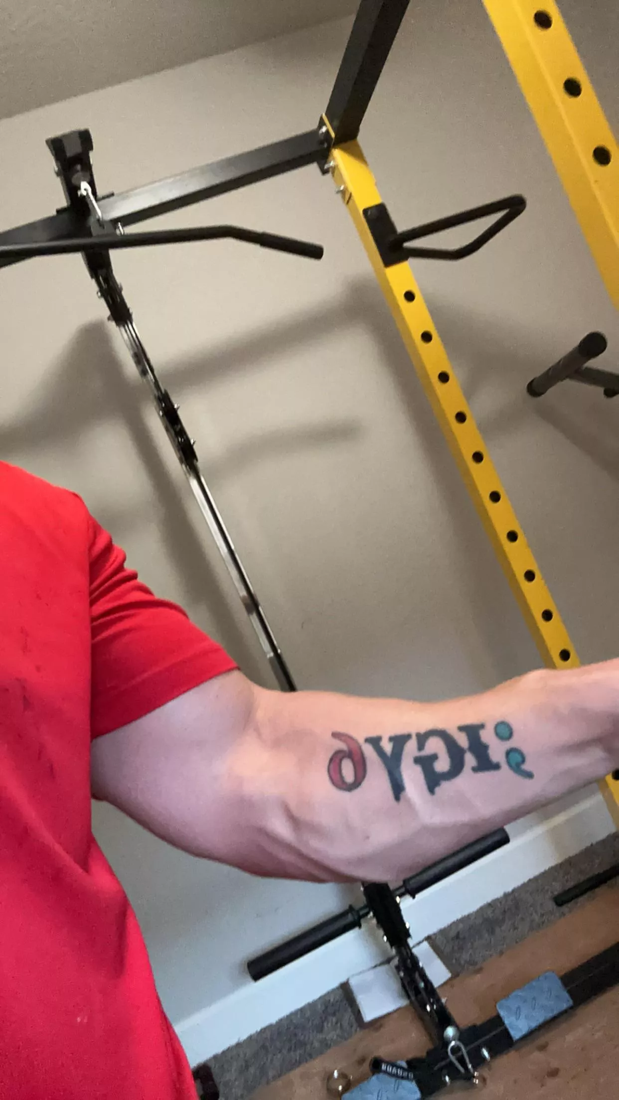 Arm day pump posted by Not-Michael-Scott