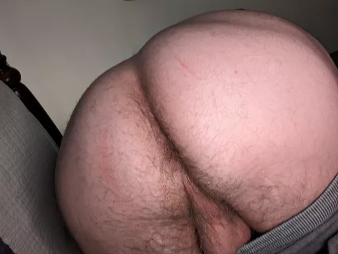 Back from a hike  by Parking-Bit1665