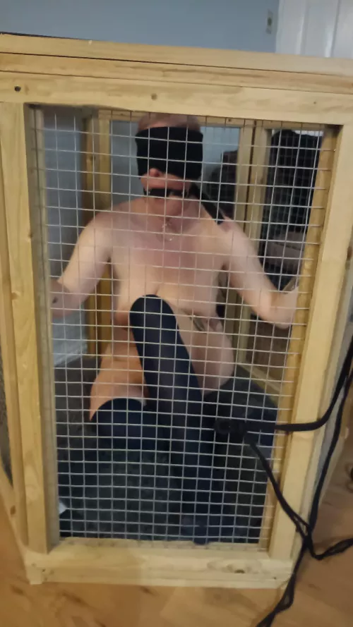 Caged, bound, gagged, plugged and blindfolded by Little-foxie