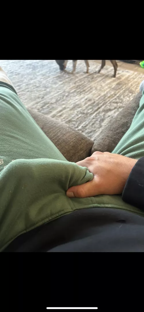 Can you tell what it’s shaped like? by Narrow-Essay-5600