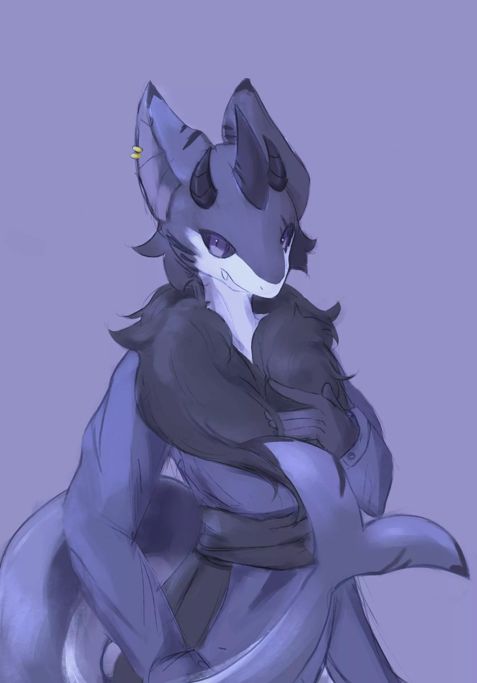 cat shark!! posted by HoodieAla