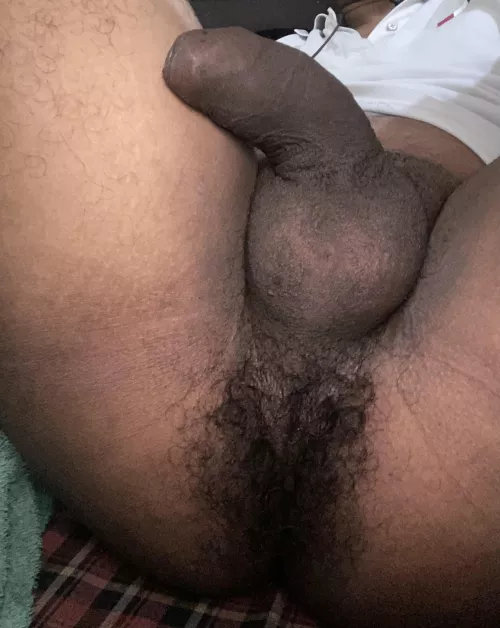 Desi hairy ass !! by Objective-Anybody844