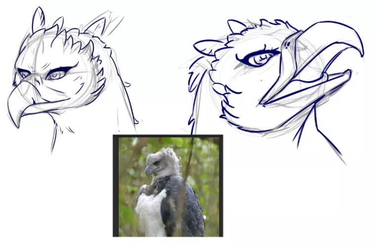 Doing a little study to warm up the hand !! by fernan_constant