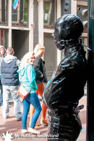 Having a good stare posted by rubber_bound