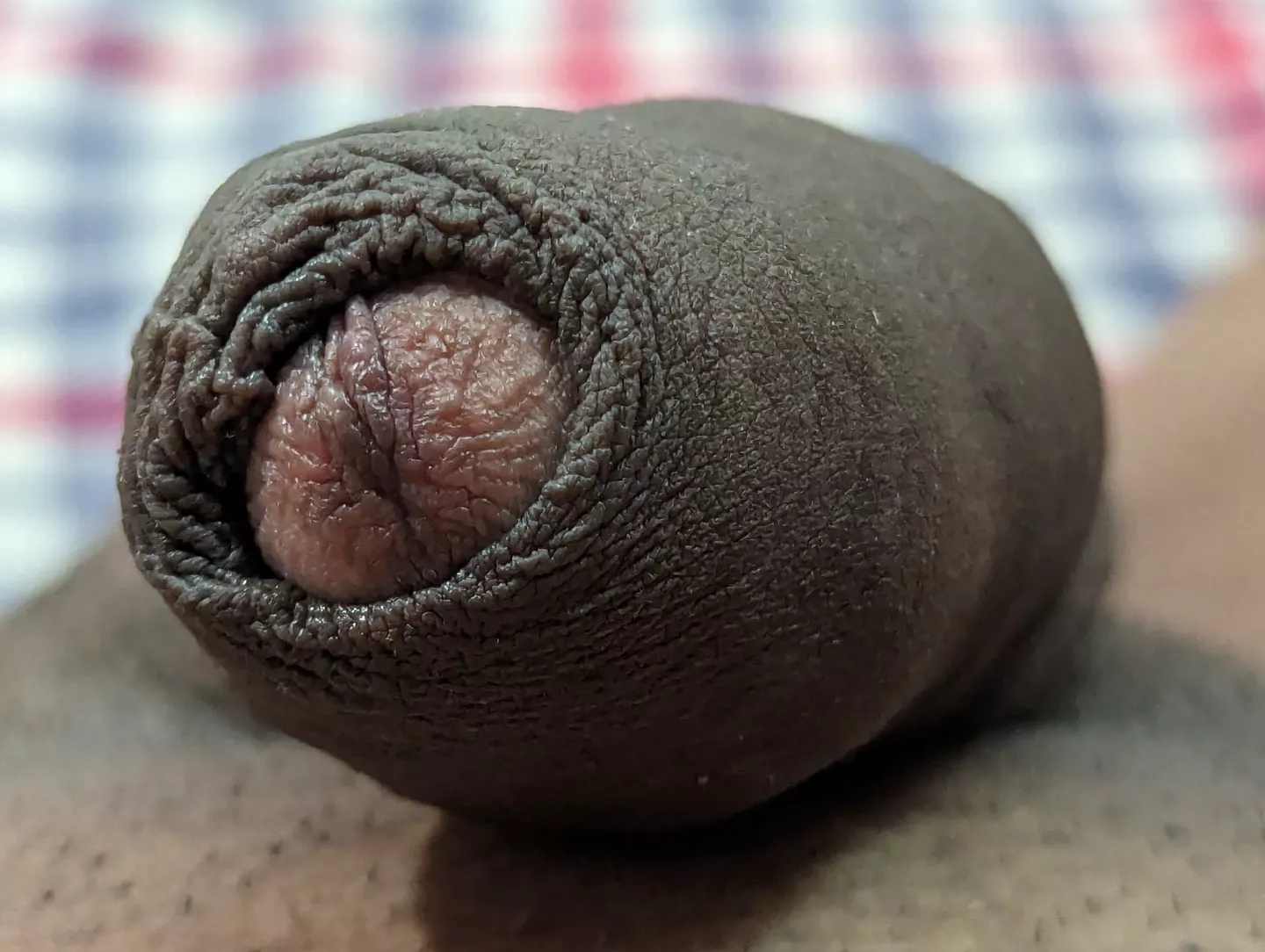 Just the foreskin! posted by ChikuwaaKeto