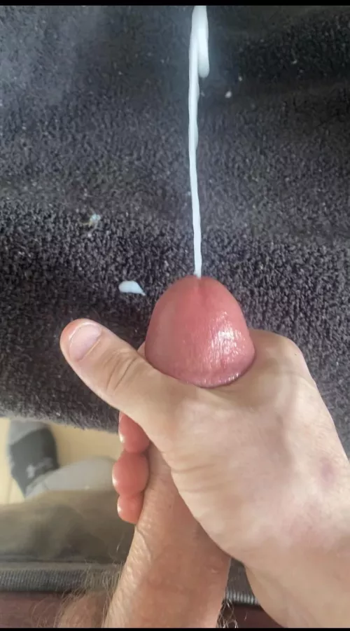 M 28. Say hi if you’d catch it all!! 🎯 by mjn0306