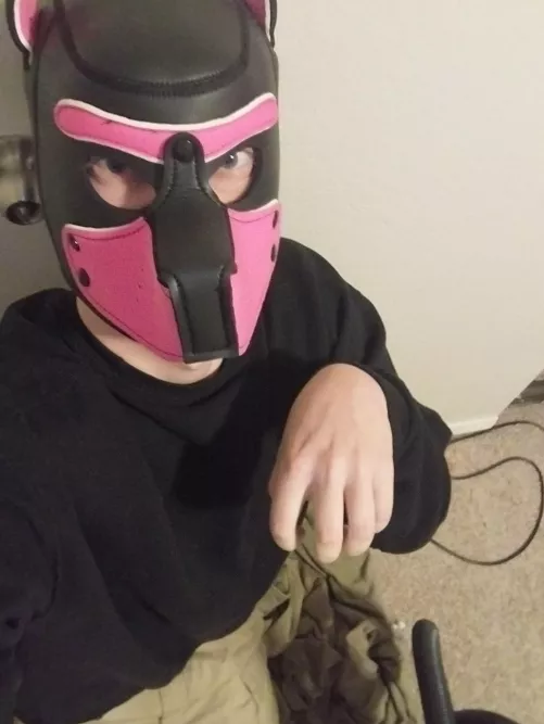 Morning, pups! by Your_Slut_3364