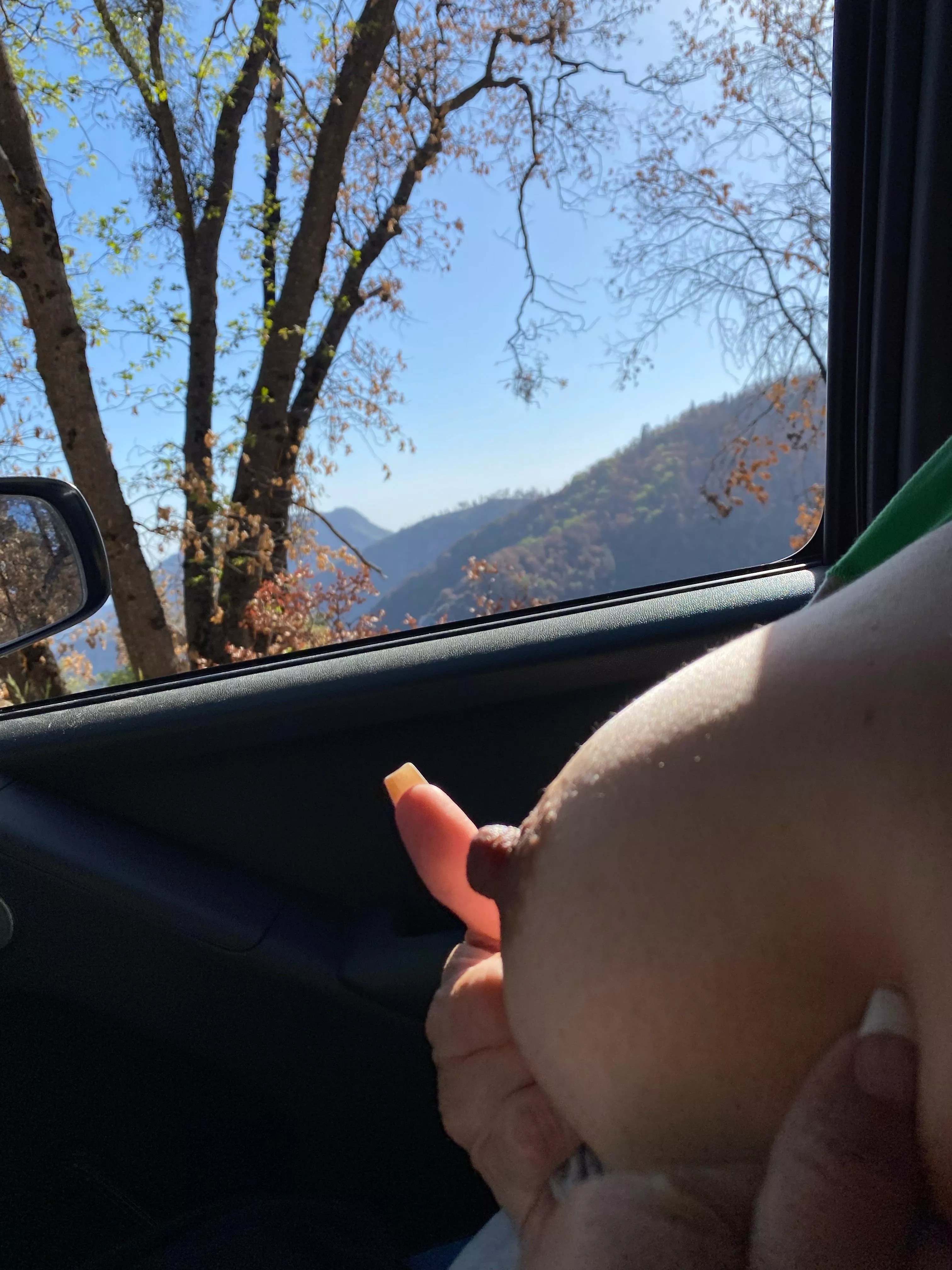 Nature’s Splendor posted by MedicalReturn8755