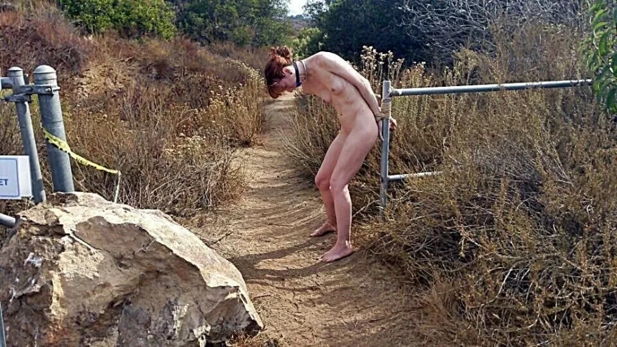 playing on the trail by Mundane-Employer-719