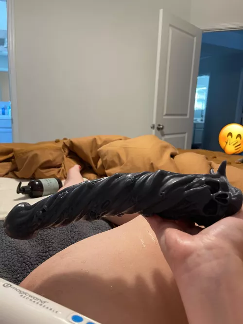 Whoops by aussiedogmomintx