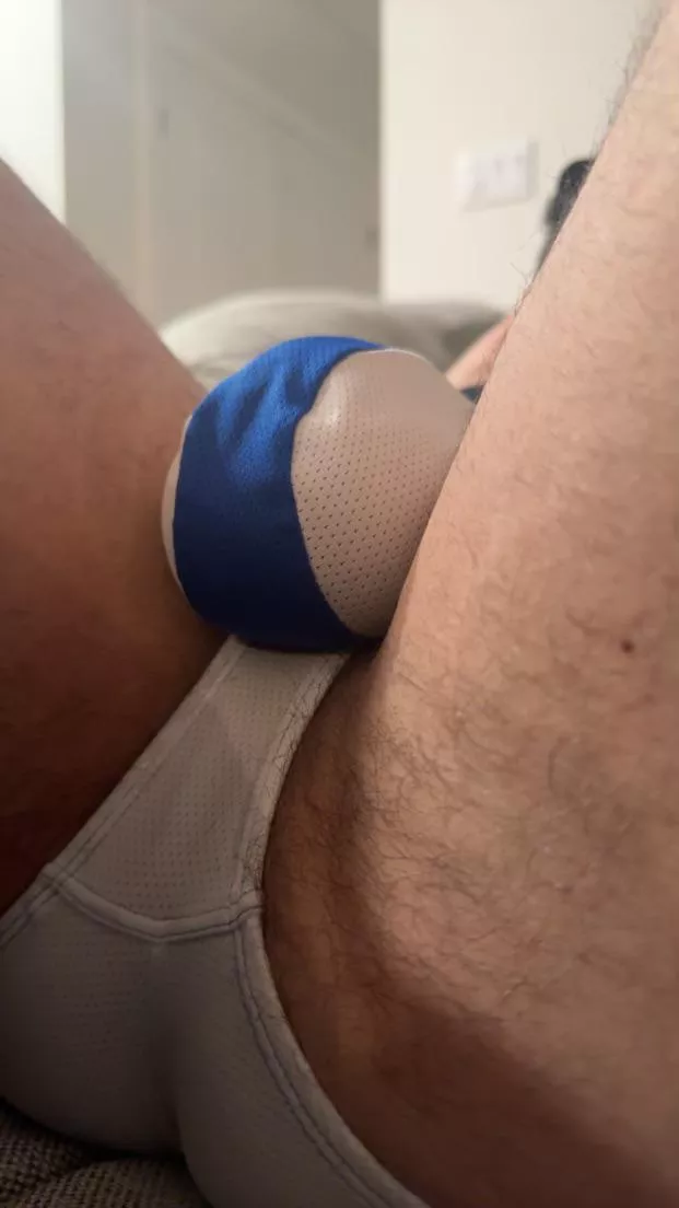 who’s gonna grab my bulge and lick my taint? posted by Muted-Whereas-5128