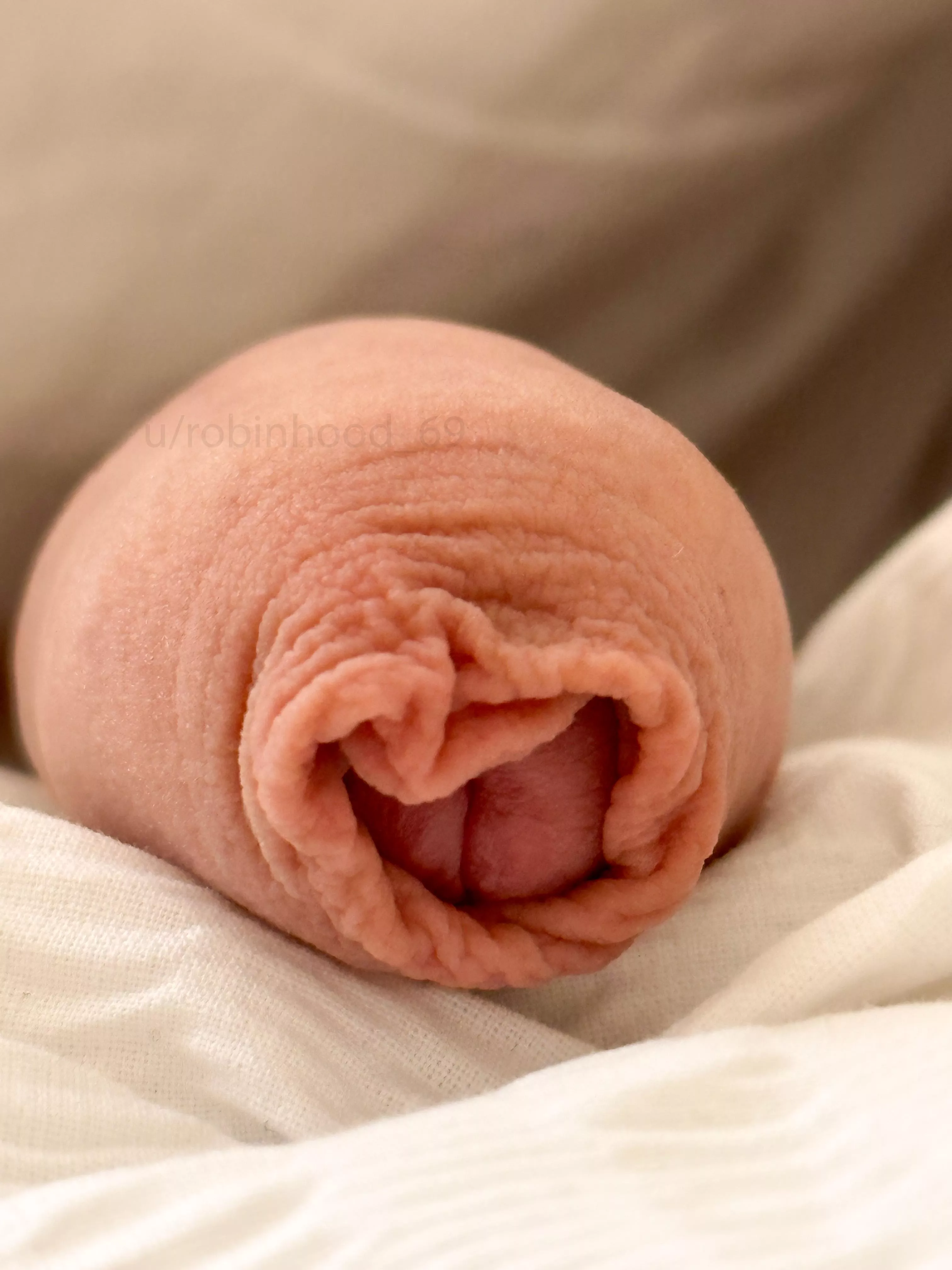 You're absolutely like my uncut cock ..... posted by Robinhood_69