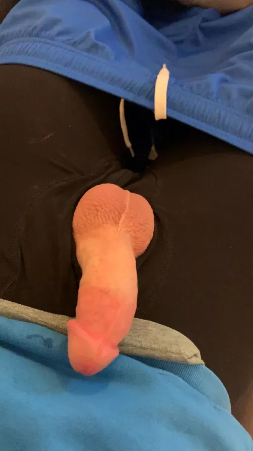 18 bi horny af I can squirt precum lemme kno if u wanna see by ElectronicDay5549