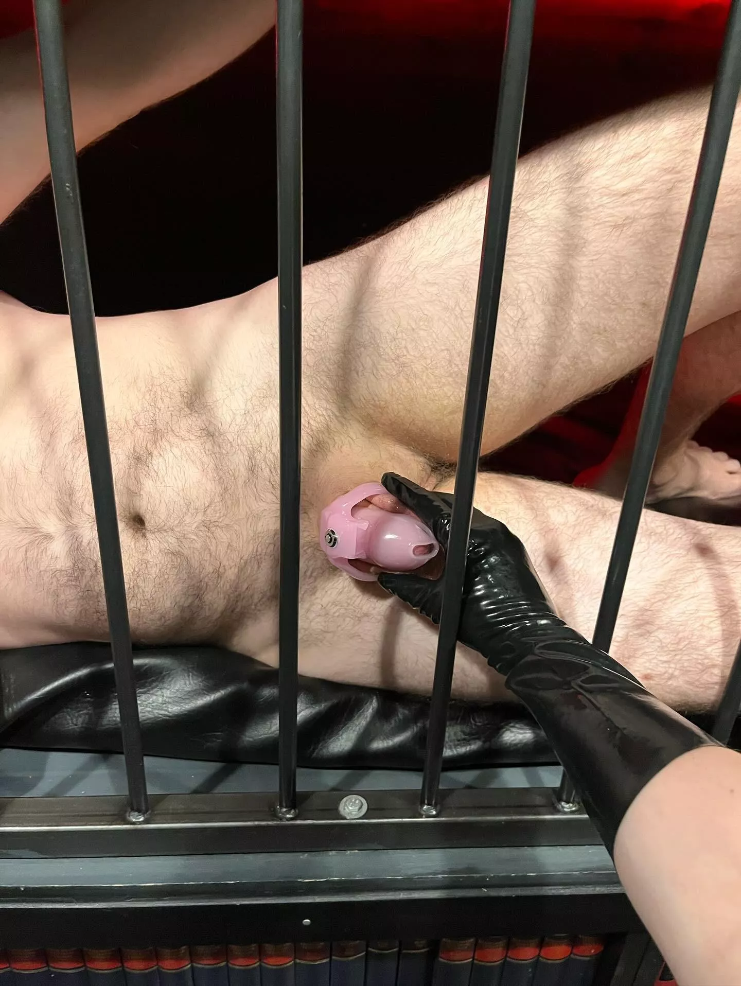 (18F) You’ll be sleeping in two cages from now on. posted by Mistress_KittyCat