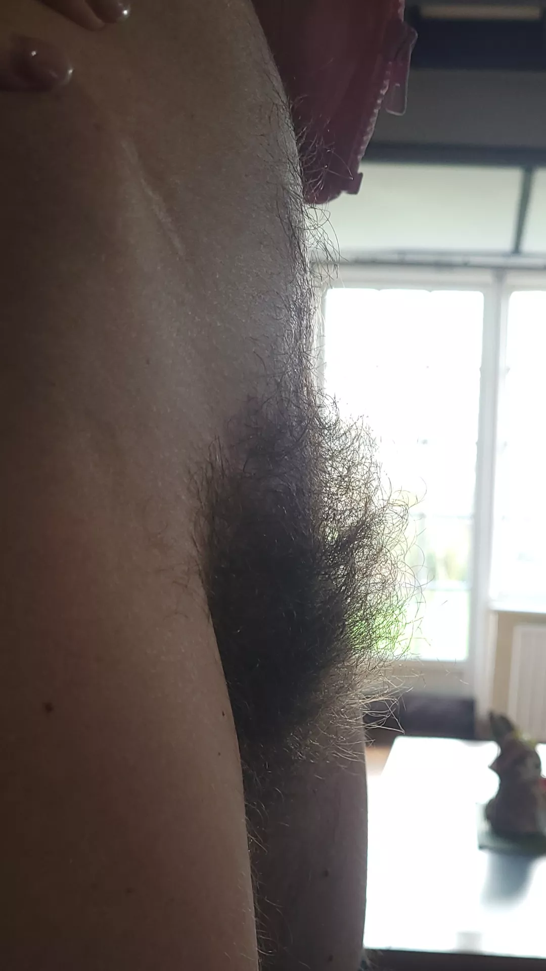 6 months and it just keeps getting bigger posted by plantlife34