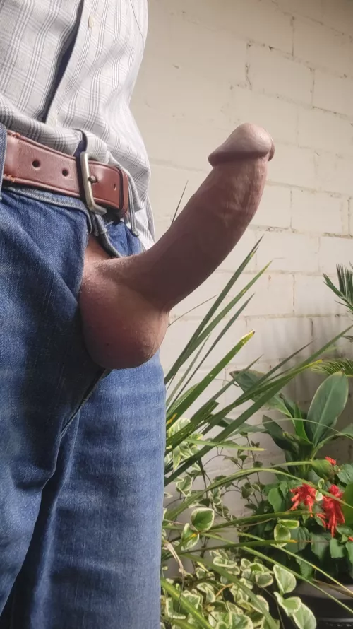 (62) daddy in the greenhouse.  by BuckeyeWood