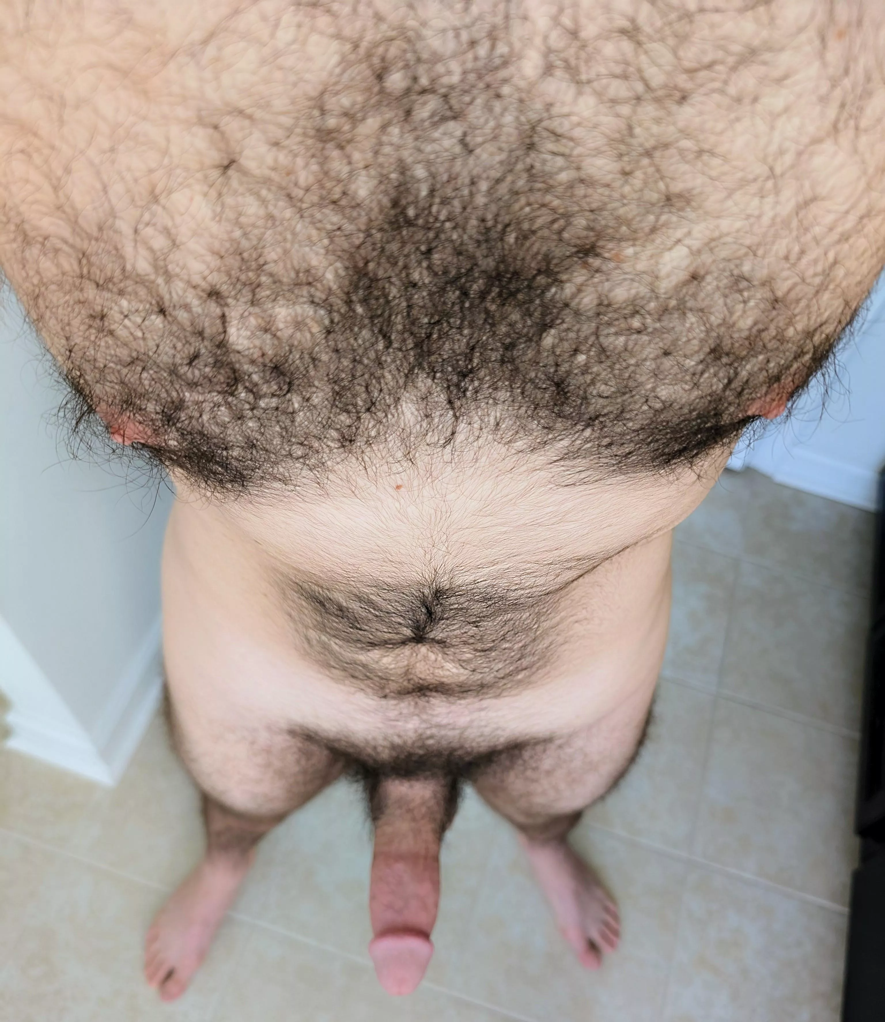 A view of my chest hair so close that it feels like you are in it posted by Rod-Hard7