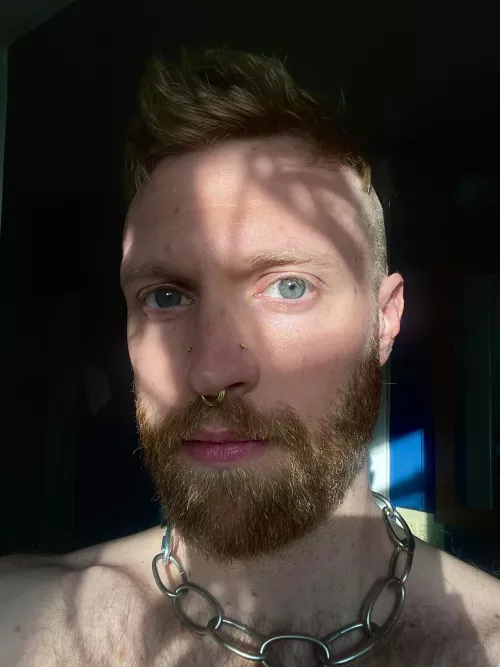 Dramatic lighting by _vuorinen