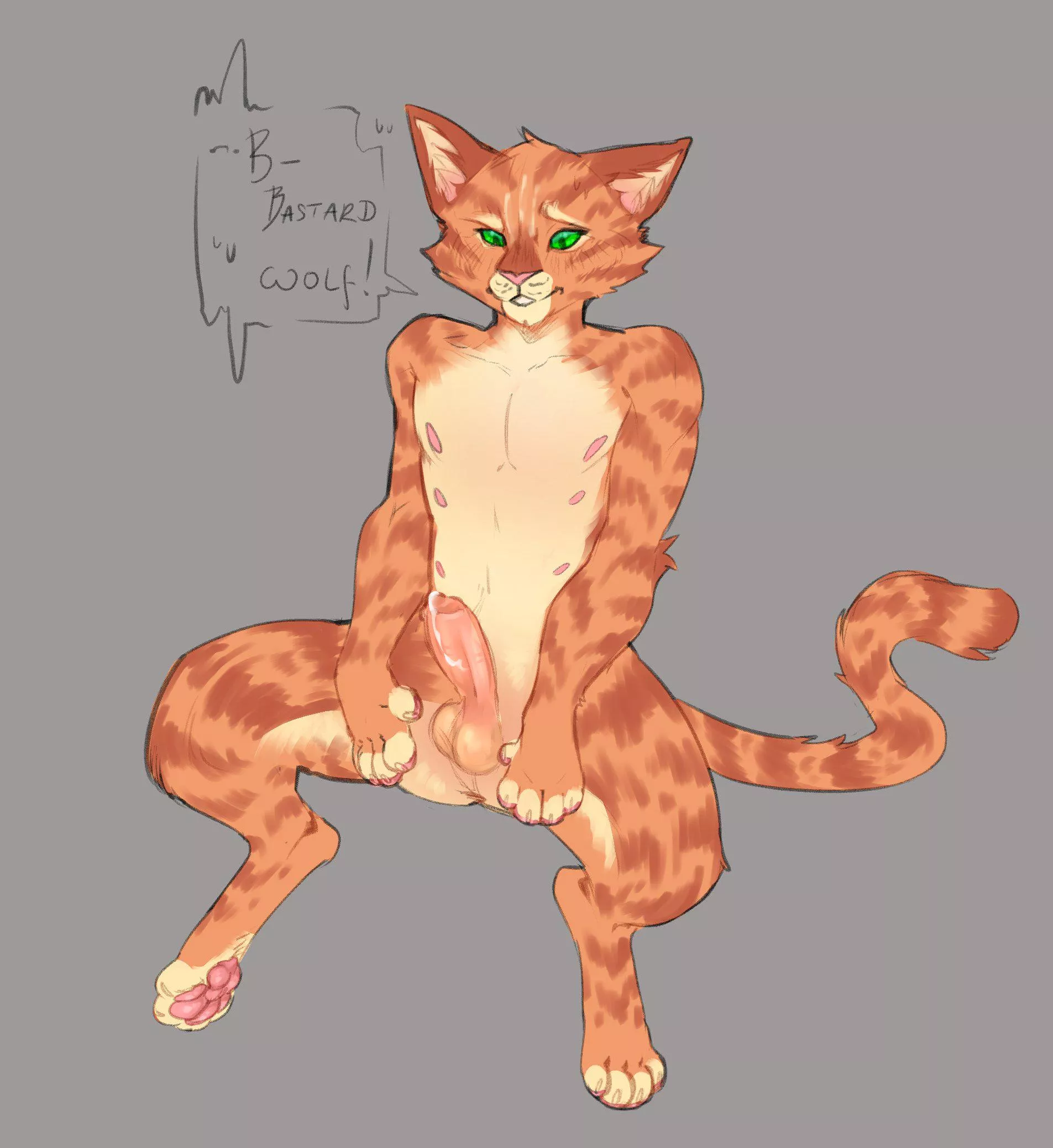 El Gato is waiting (squibstash)  posted by MrRoboto12345