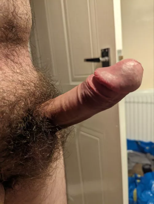 Hairy uncut boner by perfidious-snatch