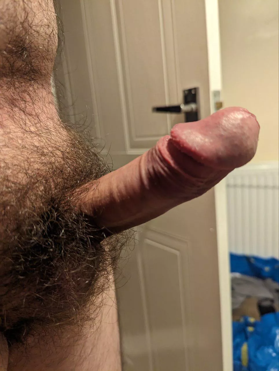 Hairy uncut boner posted by perfidious-snatch