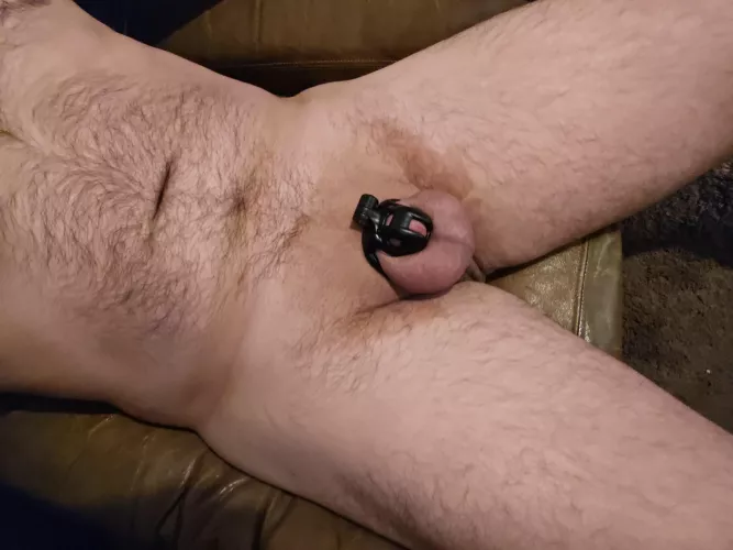 I'd say the baby cobra is a pretty good fit for me! by Hammer6580