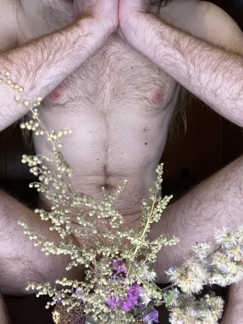 It’s a forest out there  by Pretend_Strength_516