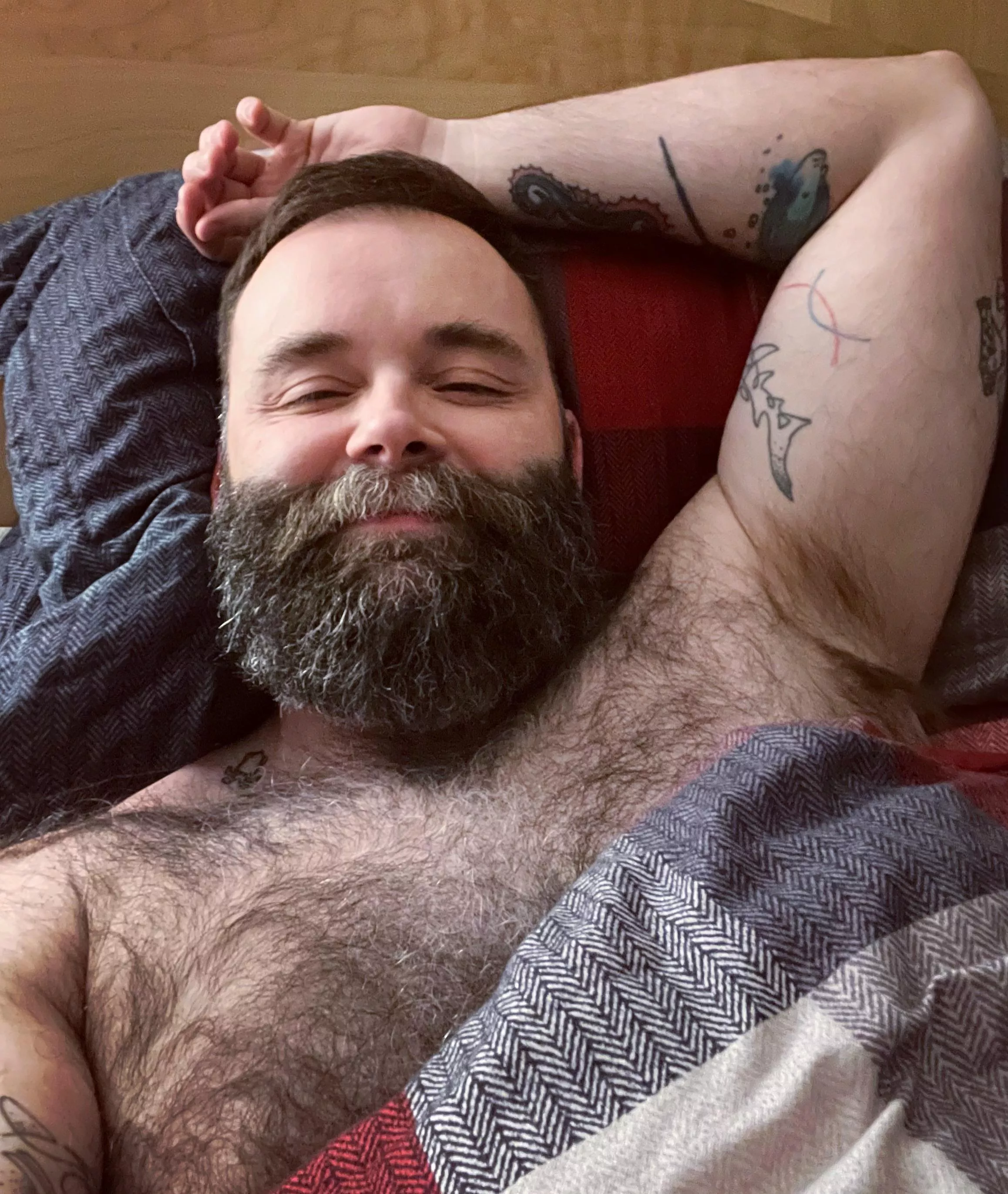 Just a dad bear (43) looking for a cuddle buddy posted by TeddyWilderXXX