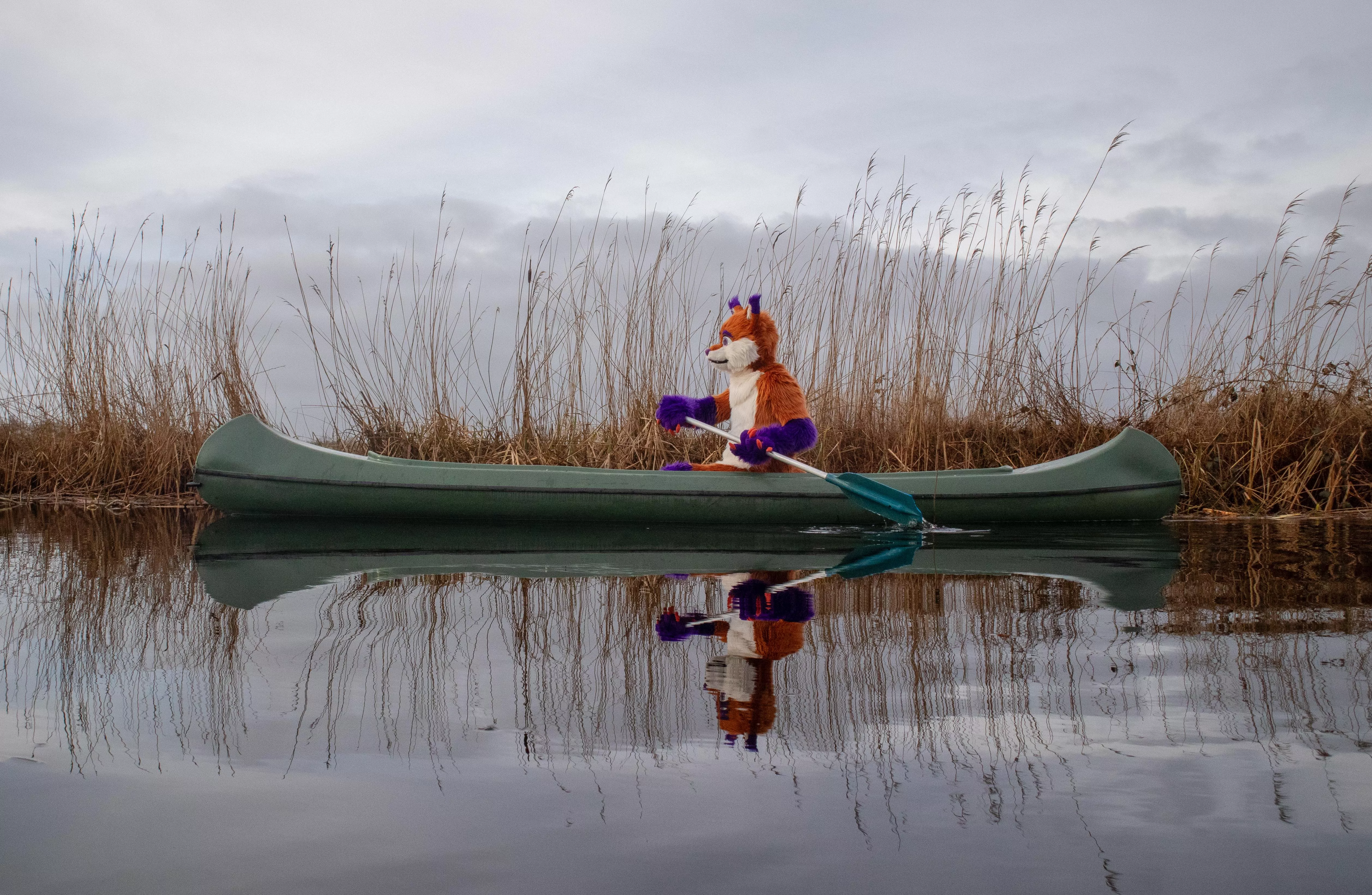 Just exploring the area in a canoe posted by beatnory