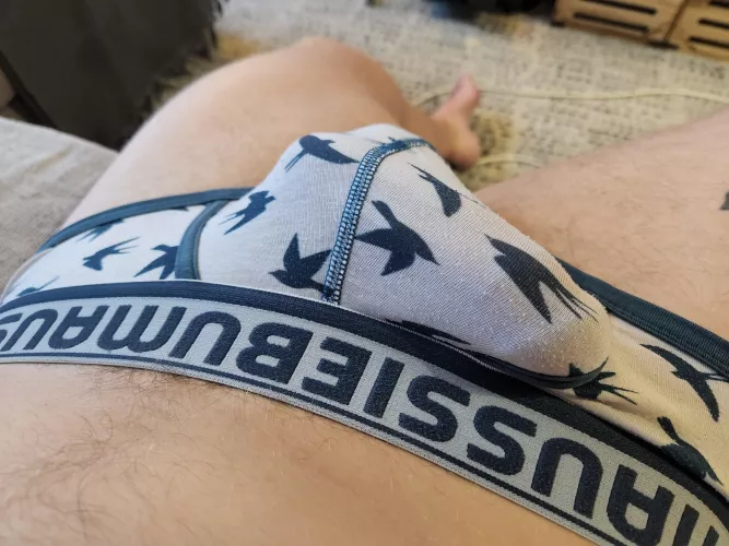 Just my chubby bulge by Wonderful_Lawyer6518