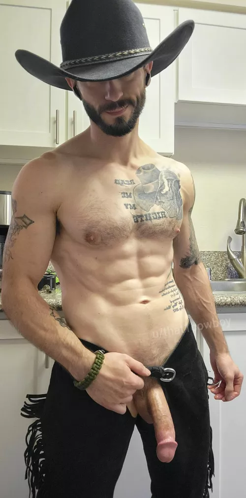 Kind of a dirty romance novel cover, but might be worth the read 😏 by that1cowboy