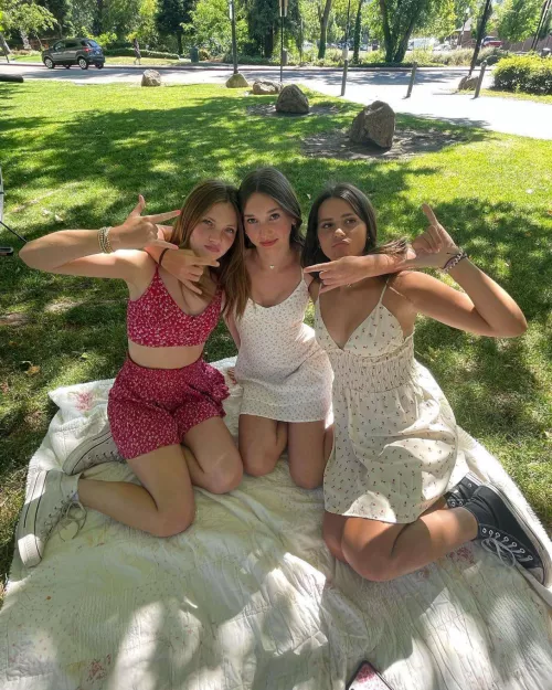 Picnic  by Blitz101r