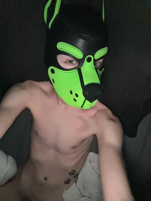 Post video game session 😉 by Pup-Atlas