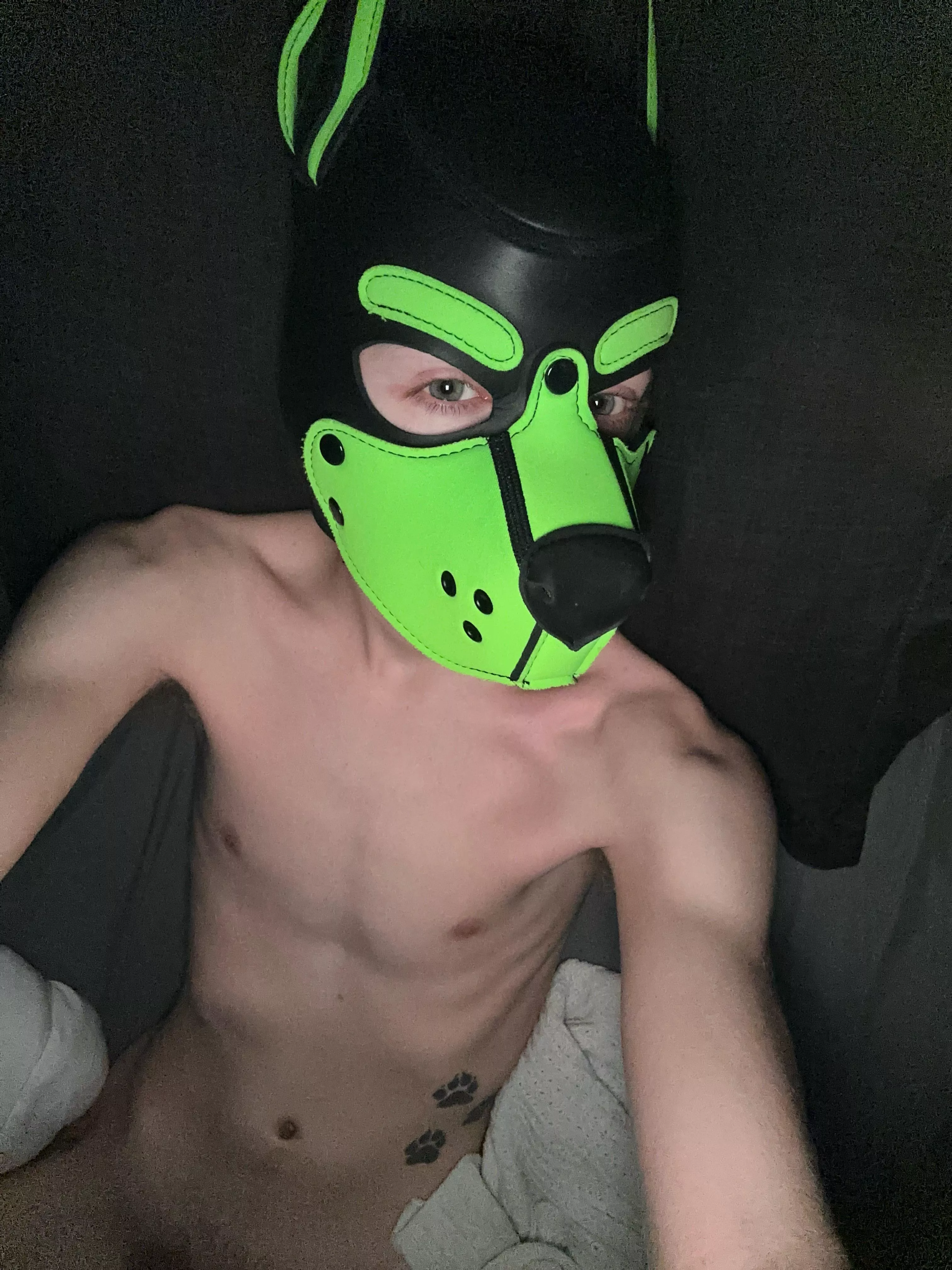 Post video game session 😉 posted by Pup-Atlas