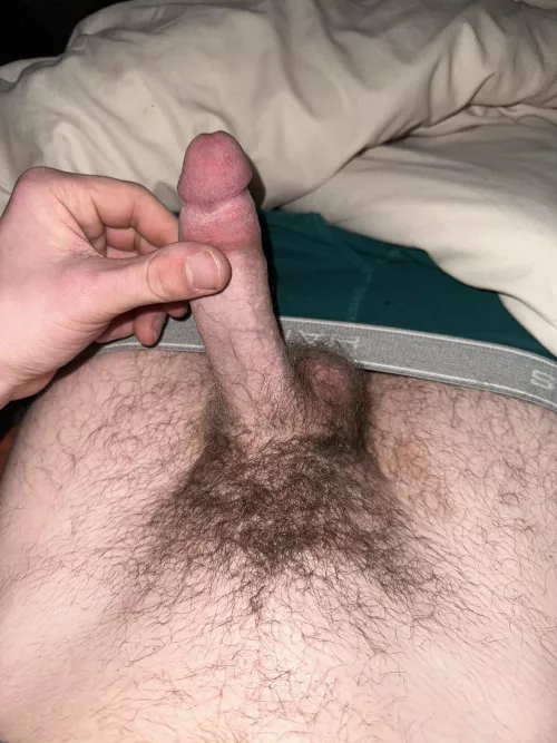 Shaved my bush and instantly regretted it counting the days till it grows back by moistlion1