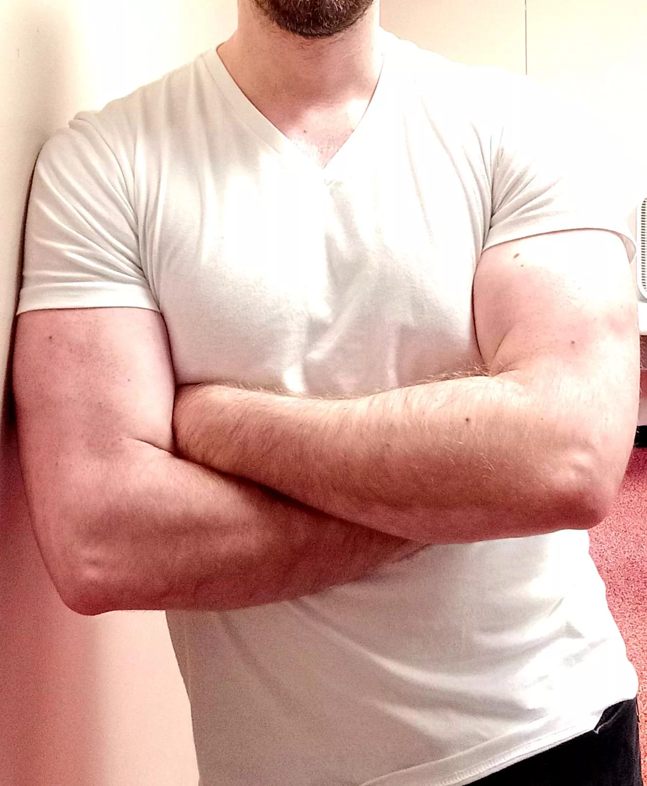 Who needs a big warm hug this February afternoon?  posted by potatoe1987