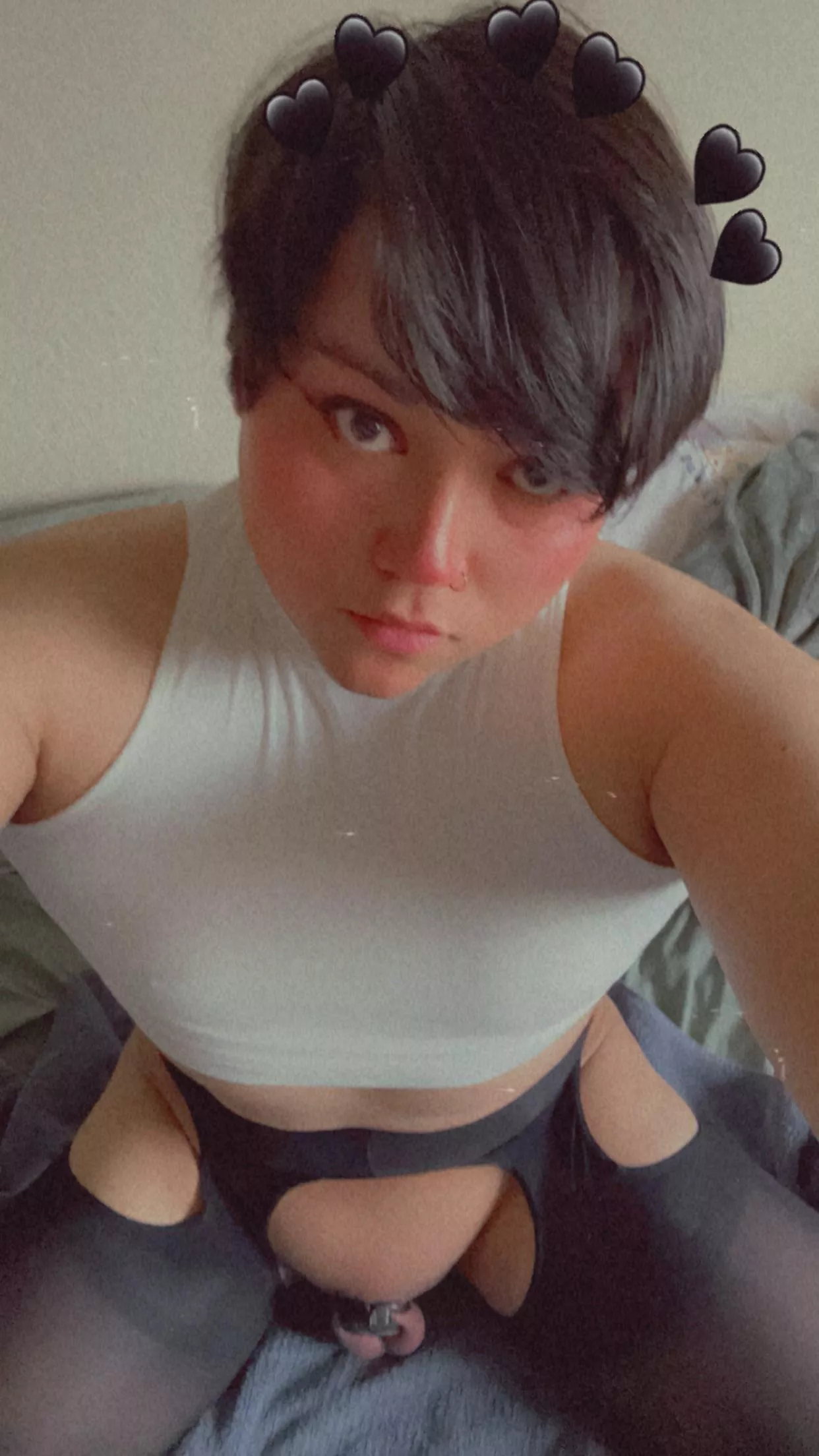 Would you bully me in my tiny cage? posted by exactly1boi