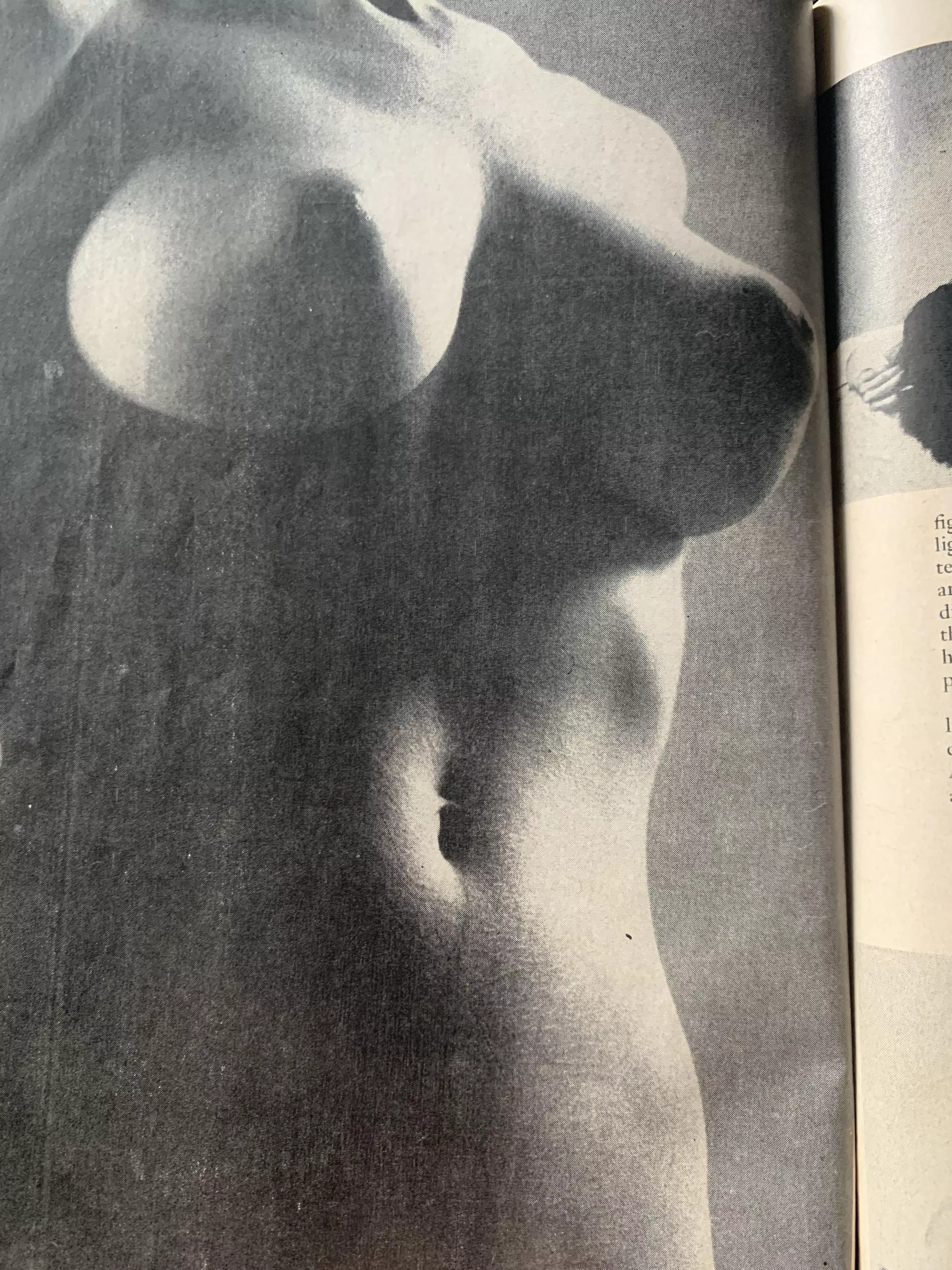 1950s puffs were incredible posted by Sippinonreality