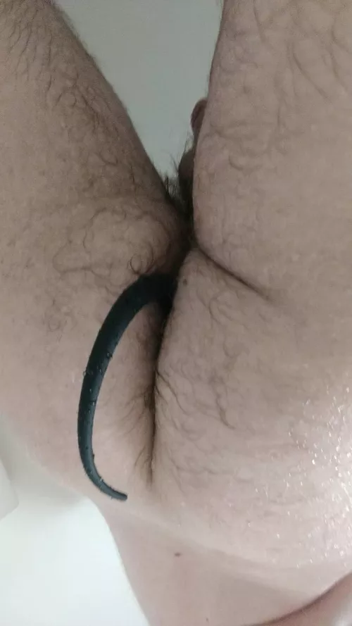 20, my first tail! My other pup gear is coming soon ;) by Maleficent_Being_18