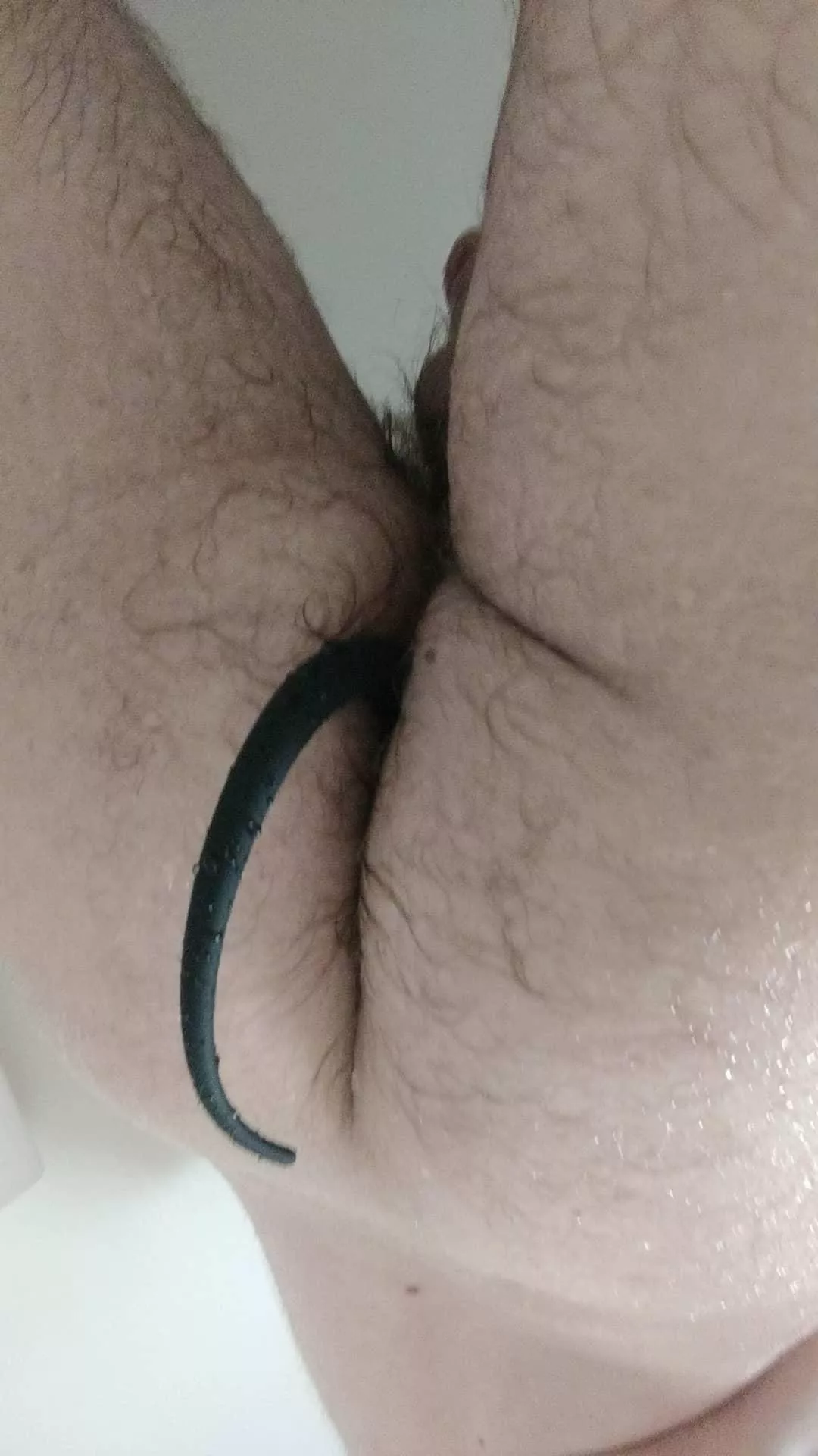 20, my first tail! My other pup gear is coming soon ;) posted by Maleficent_Being_18