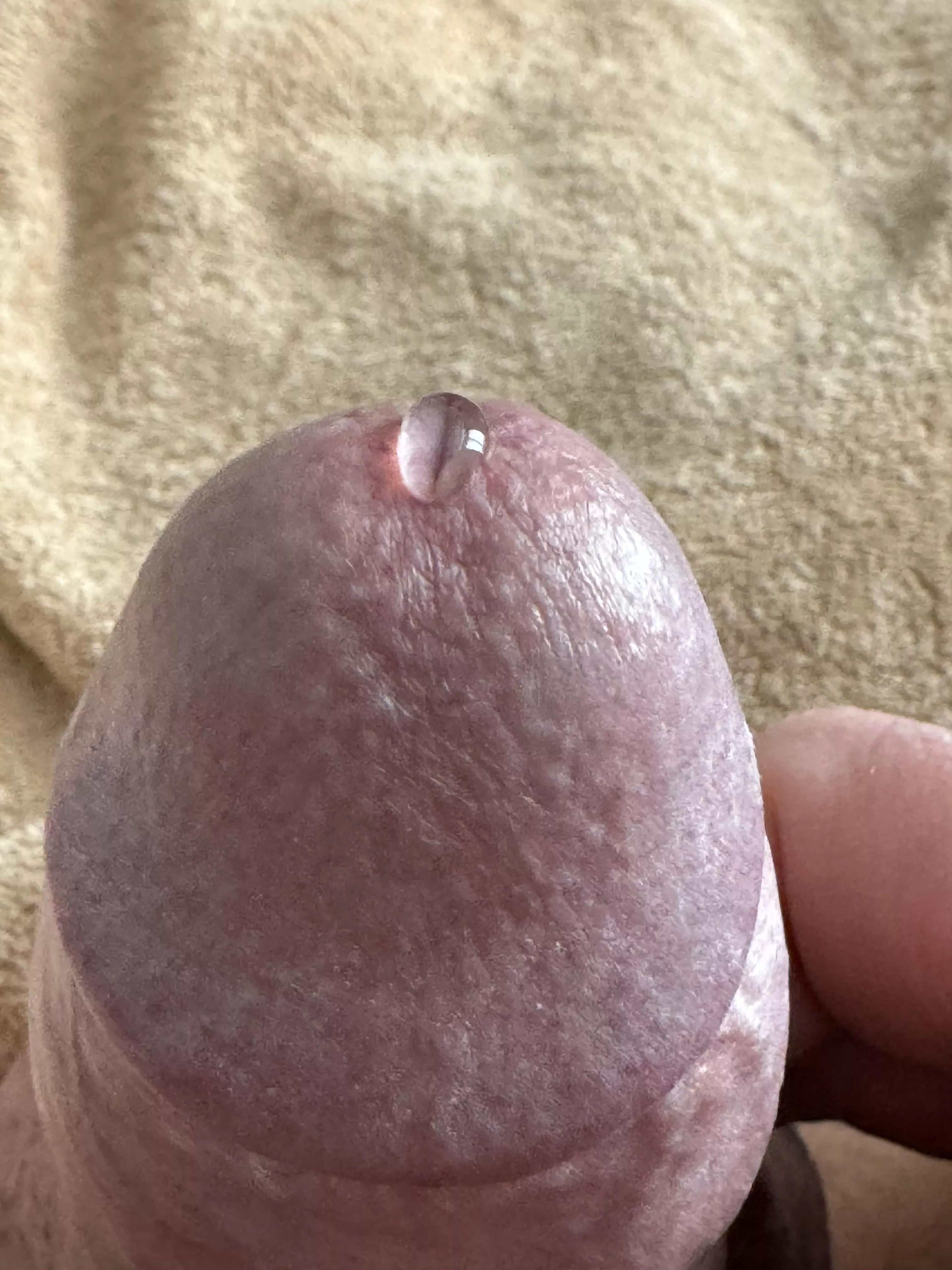 (51) sign of good things to cum posted by Uhoh45-2