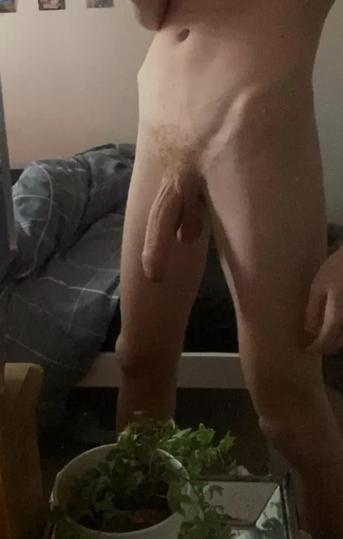 anyone like hung twinks?[18] by laiizer