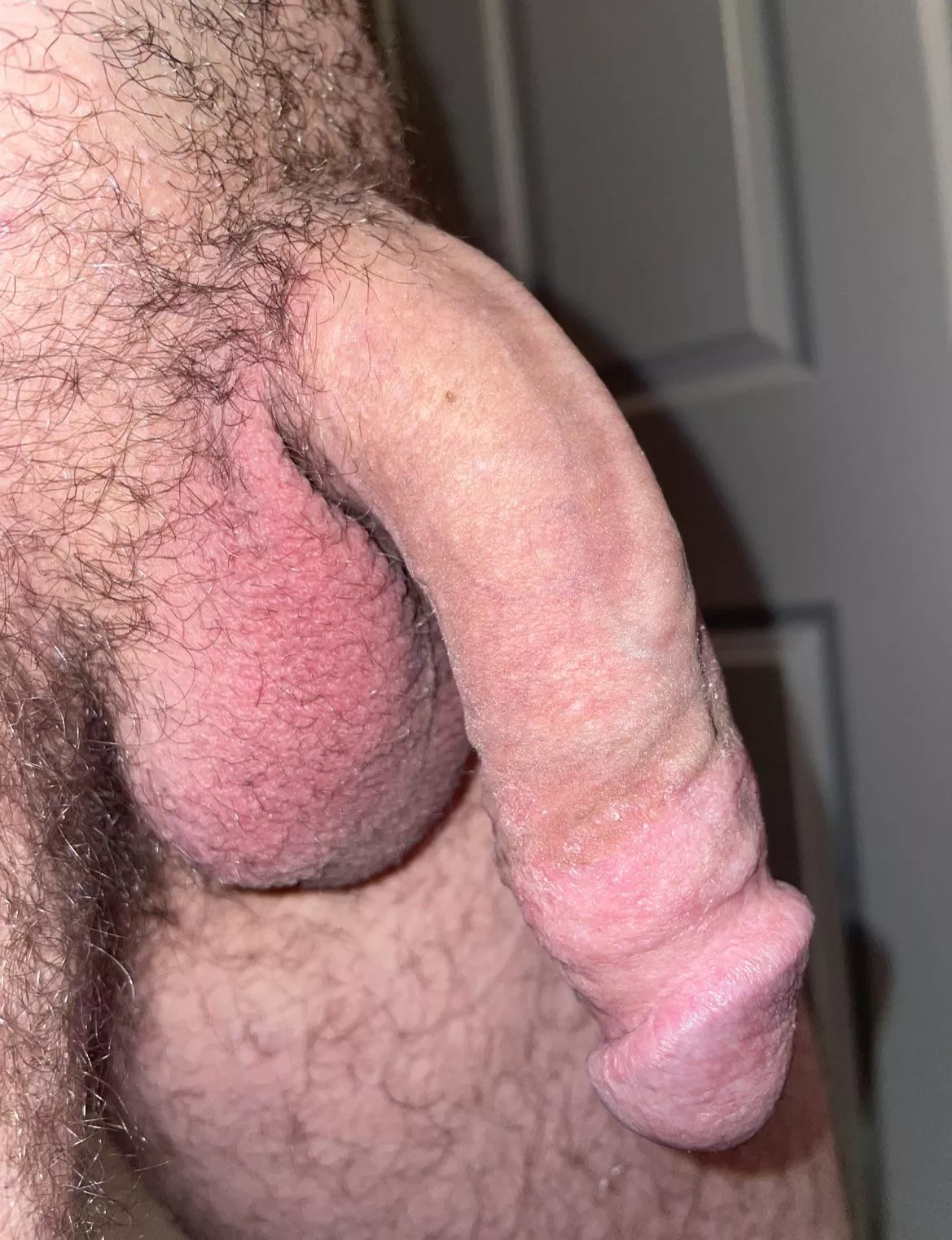 Big floppy white cock posted by sensiblepopcorn320